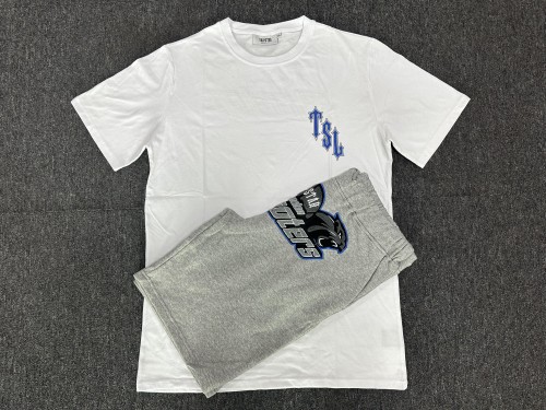 1:1 quality version Tiger Embroidered Gray tee Shorts set