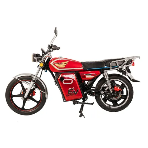 CG 1500W Electric Motorcycle