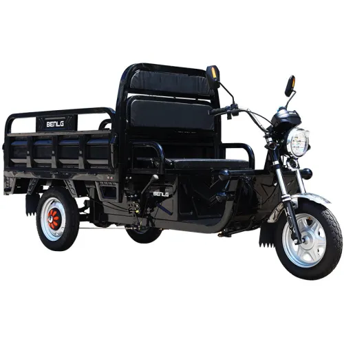 1000W HARVEST Cargo Electric Trcycle 3 Wheels Motorcycle