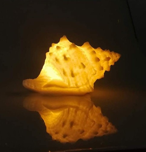 Custom Conch Light Lamp- 5.4“H