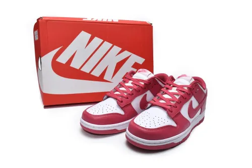  N  Dunk Low Archeo Pink DD1503-111