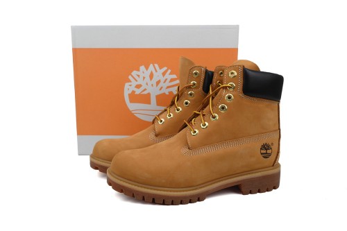 Timberl@nd 6  Premium Waterproof Boot Wheat TB010061-713/TB110061-713/TB1100617131-TB713