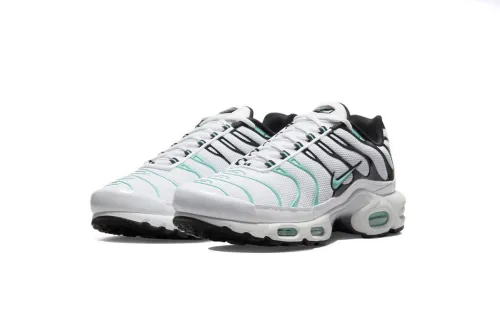 N  Air Max Plus atmos White Hyper Jade 604133-148 Free Shipping