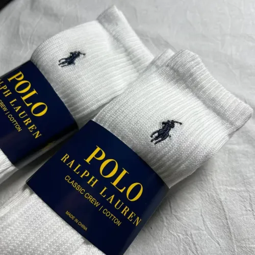 【3 pack】Classic Black & White Towel Bottom Mid Calf Socks