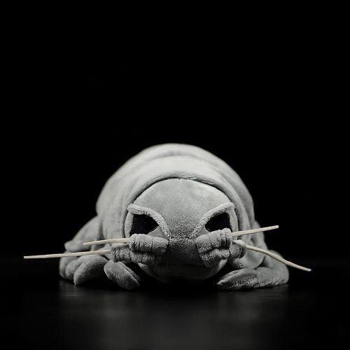 11.8'' Realistic Grey Giant Isopod Plush Toy Marine Life Stuffed Animal Insect Simulation Worm Lice Pillow Isopod Arthropod Toys Doll (11.8'', Grey Giant Isopod)