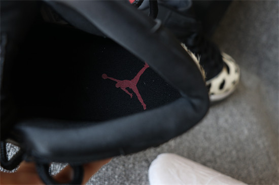 Nike Air Jordan 11 Retro Animal Instinct
