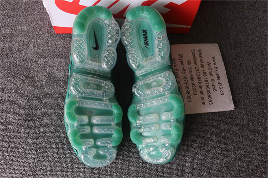 Nike Air Vapormax Plus TN 073