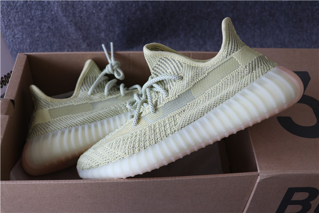 Yeezy Boost 350 v2 Antlia Reflective FV3250