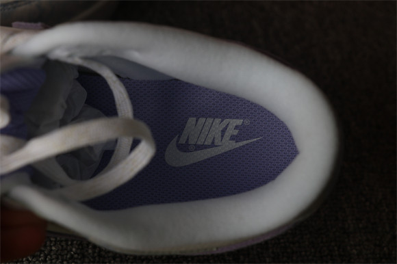 Nike SB DUNK Low Purple Suede