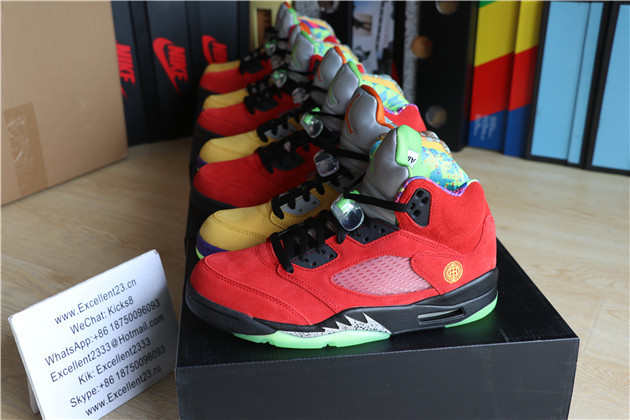 Nike Air Jordan 5 What The