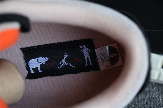 Nike Air Jordan 3 Desert Elephant
