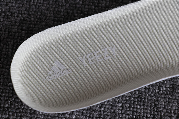 2019 Adidas Yeezy Boost 350 V3 Aline