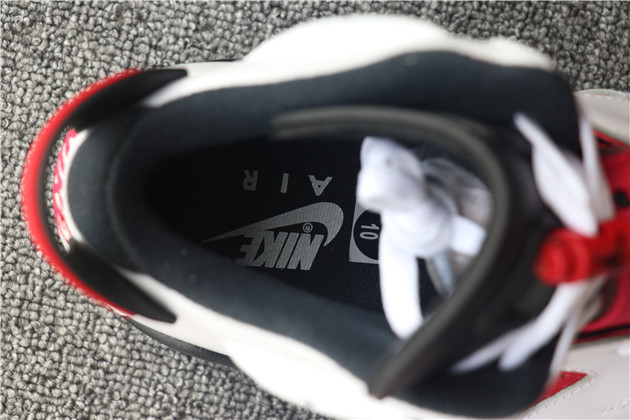 Nike Air Jordan 6 Carmine