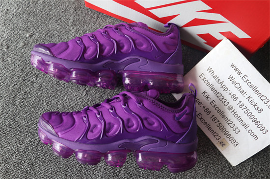 Nike Air Vapormax Plus TN Purple