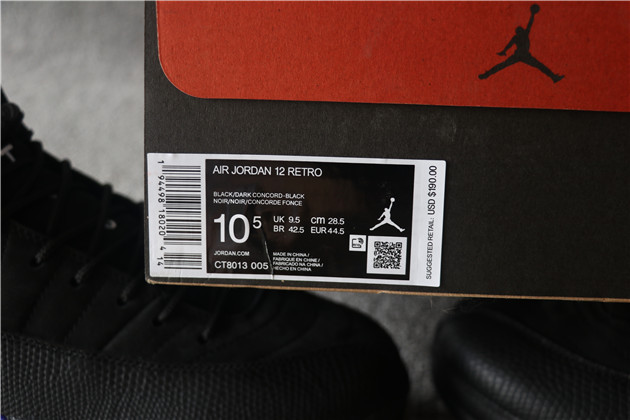 Nike Air Jordan 12 Retro Dark Concord 2020