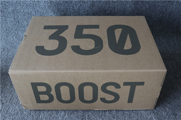 Adidas Yeezy Boost 350 V2 Yeezreel Non Reflective FW5191