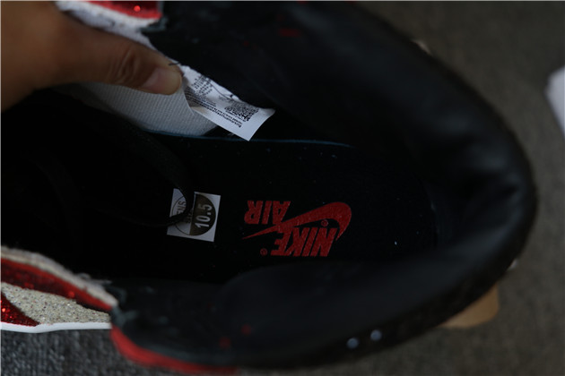 Nike Air Jordan 1 Retro North Pole
