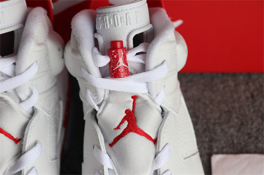 Nike Air Jordan 6 Red Oreo