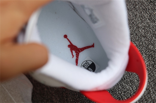 Nike Air Jordan 6 Red Oreo