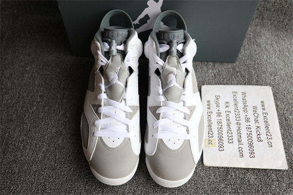 Nike Air Jordan 6 Cool Grey