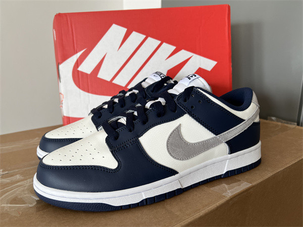 Nike SB DUNK LOW Blue Grey