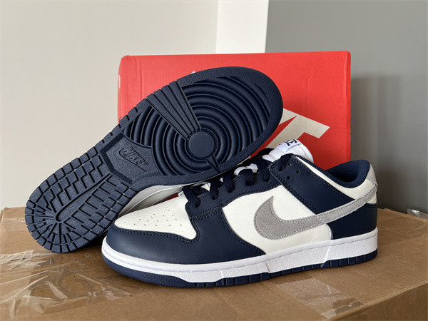 Nike SB DUNK LOW Blue Grey