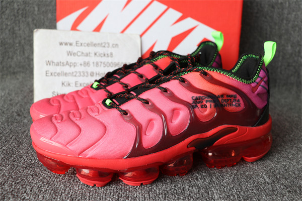 Nike Air Vapormax Plus TN 076