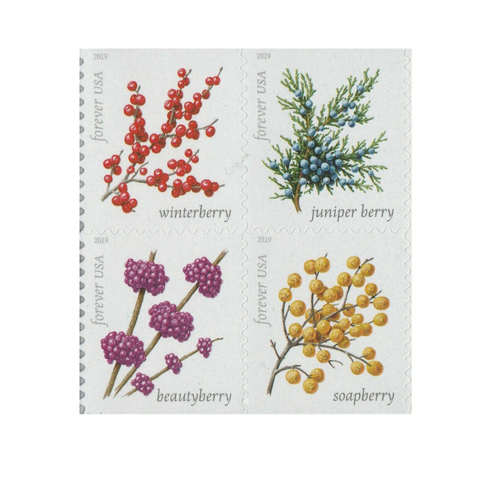 Winter Berries 2019 - 5 Booklets / 100 Pcs