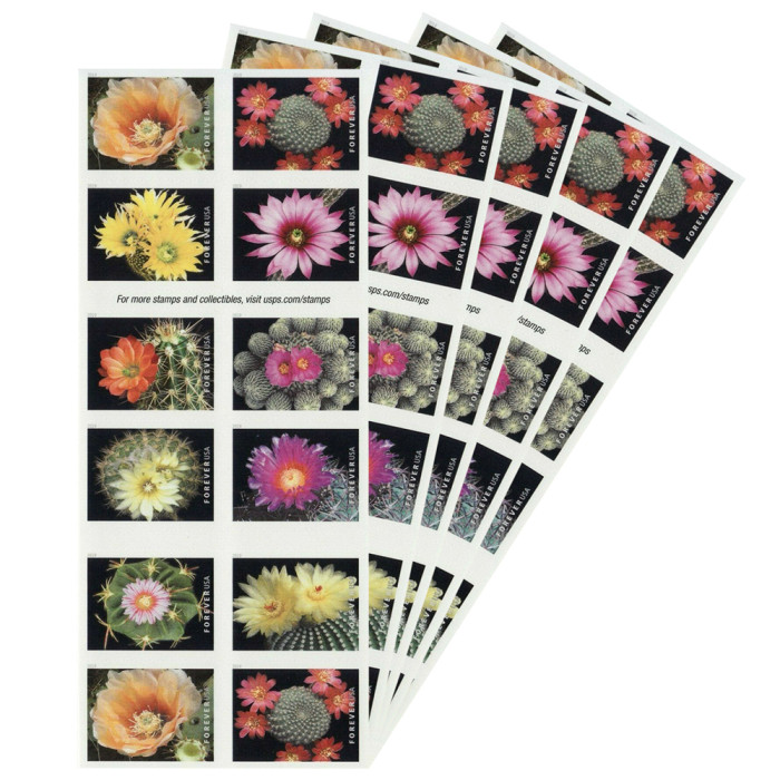 Cactus Flowers 2019 - 5 Booklets / 100 Pcs