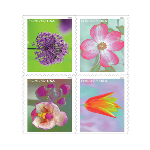 Garden Beauty 2021 - 5 Booklets / 100 Pcs