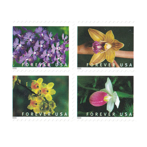 Wild Orchids 2020 - 5 Booklets / 100 Pcs