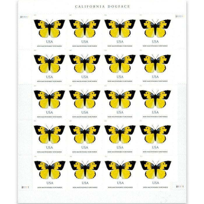 California Dogface Butterfly 2019 - 5 Sheets / 100 Pcs