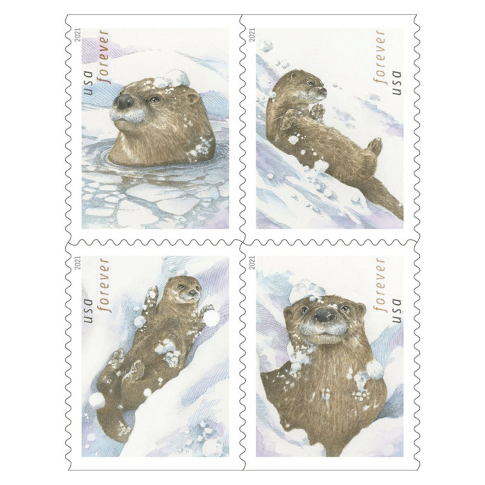 Otters In Snow 2021 - 5 Booklets / 100 Pcs