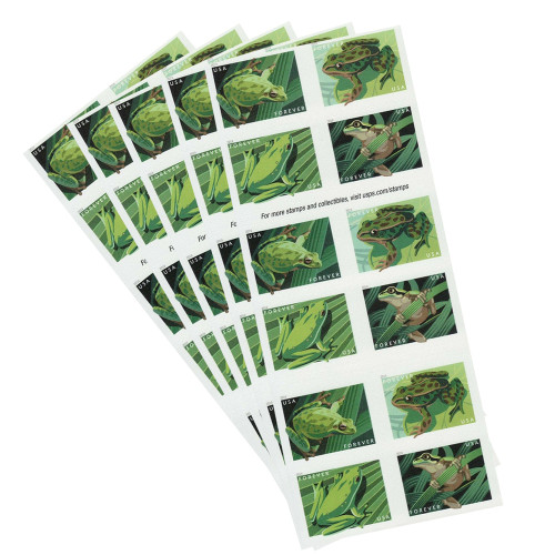 FROGS 2019 - 5 Booklets / 100 Pcs