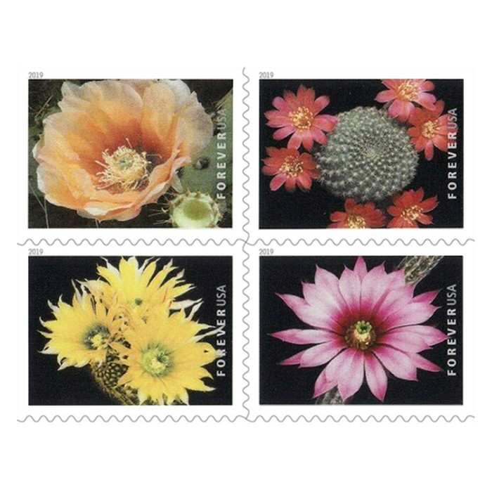 Cactus Flowers 2019 - 5 Booklets / 100 Pcs