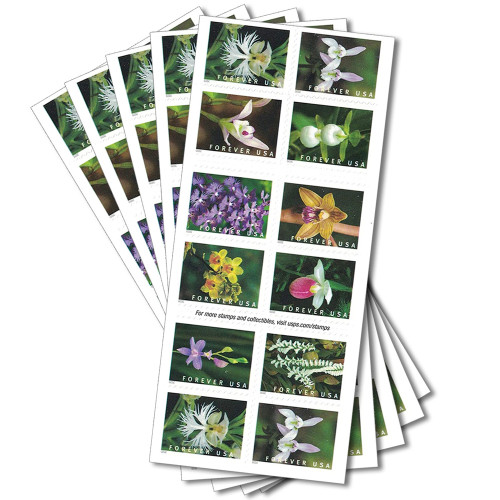 Wild Orchids 2020 - 5 Booklets / 100 Pcs