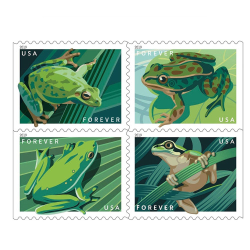 FROGS 2019 - 5 Booklets / 100 Pcs
