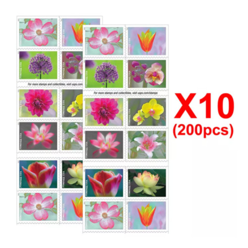 Garden Beauty 2021, 200 Pcs