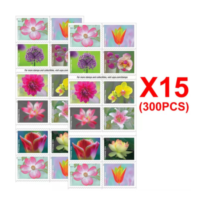 Garden Beauty 2021, 300 Pcs