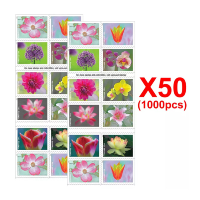 Garden Beauty 2021, 1000 Pcs