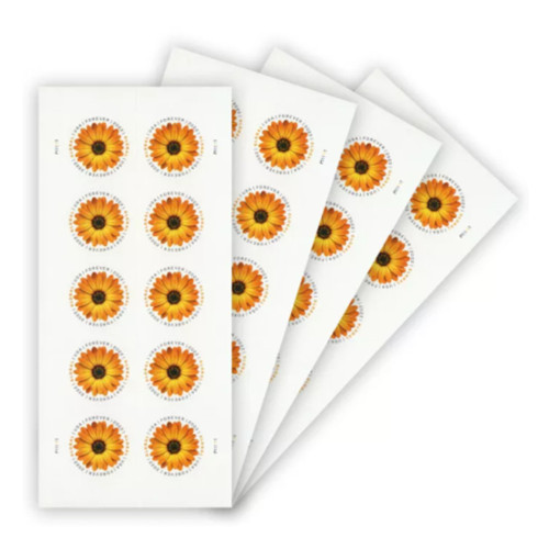 Global African Daisy 2022 Forever international U.S. - 10 Booklets / 100 Pcs