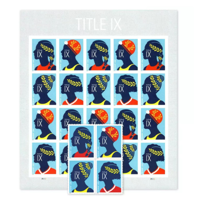 Title IX 2022 - 5 Sheets / 100 Pcs