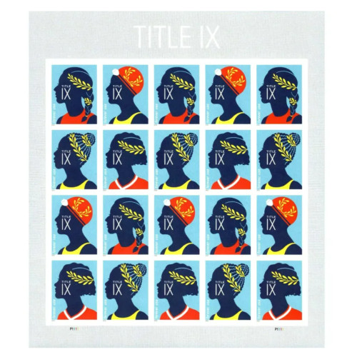 Title IX 2022 - 5 Sheets / 100 Pcs