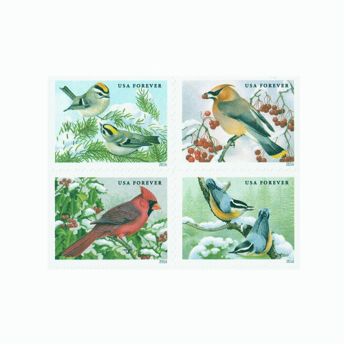 Songbirds in Snow 2016 - 5 Booklets / 100 Pcs