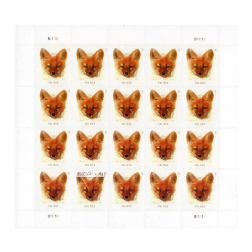 Red Fox 2023 - 5 Sheets / 100 Pcs
