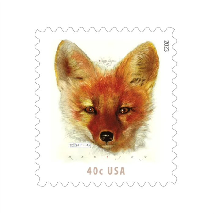 Red Fox 2023 - 5 Sheets / 100 Pcs