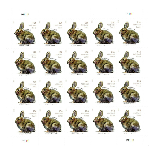 Brush Rabbit 2021 - 5 Sheets / 100 Pcs