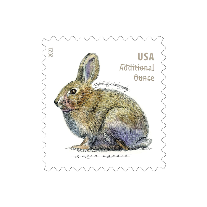 Brush Rabbit 2021 - 5 Sheets / 100 Pcs