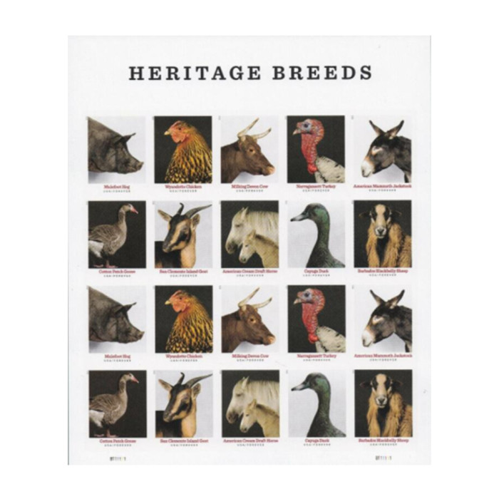 Heritage Breeds 2021 - 5 Sheets / 100 Pcs