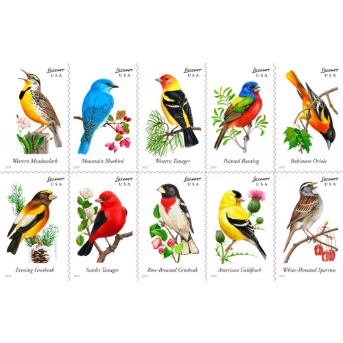 Songbird 2014 - 5 Booklets / 100 Pcs